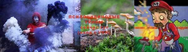 гидропоника Новодвинск