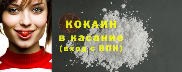 мет Новозыбков