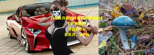 гидропоника Новодвинск