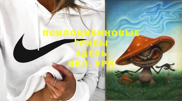 мет Новозыбков