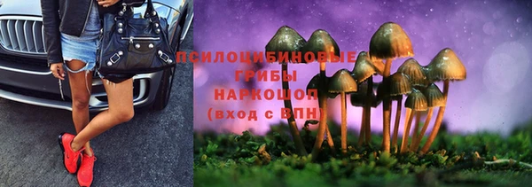 мет Новозыбков