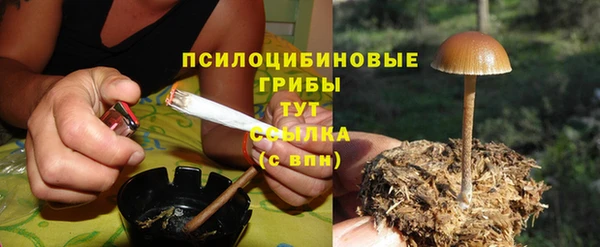 мет Новозыбков