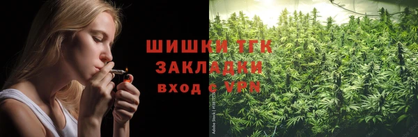 мет Новозыбков