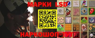 гашик Аргун