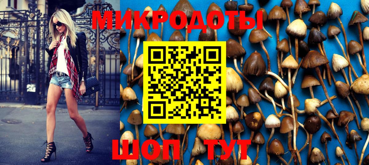 Псилоцибиновые грибы Psilocybine cubensis  Лянтор 